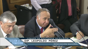 Diputado Leopoldo Pérez.